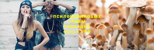 гидропоника Липки